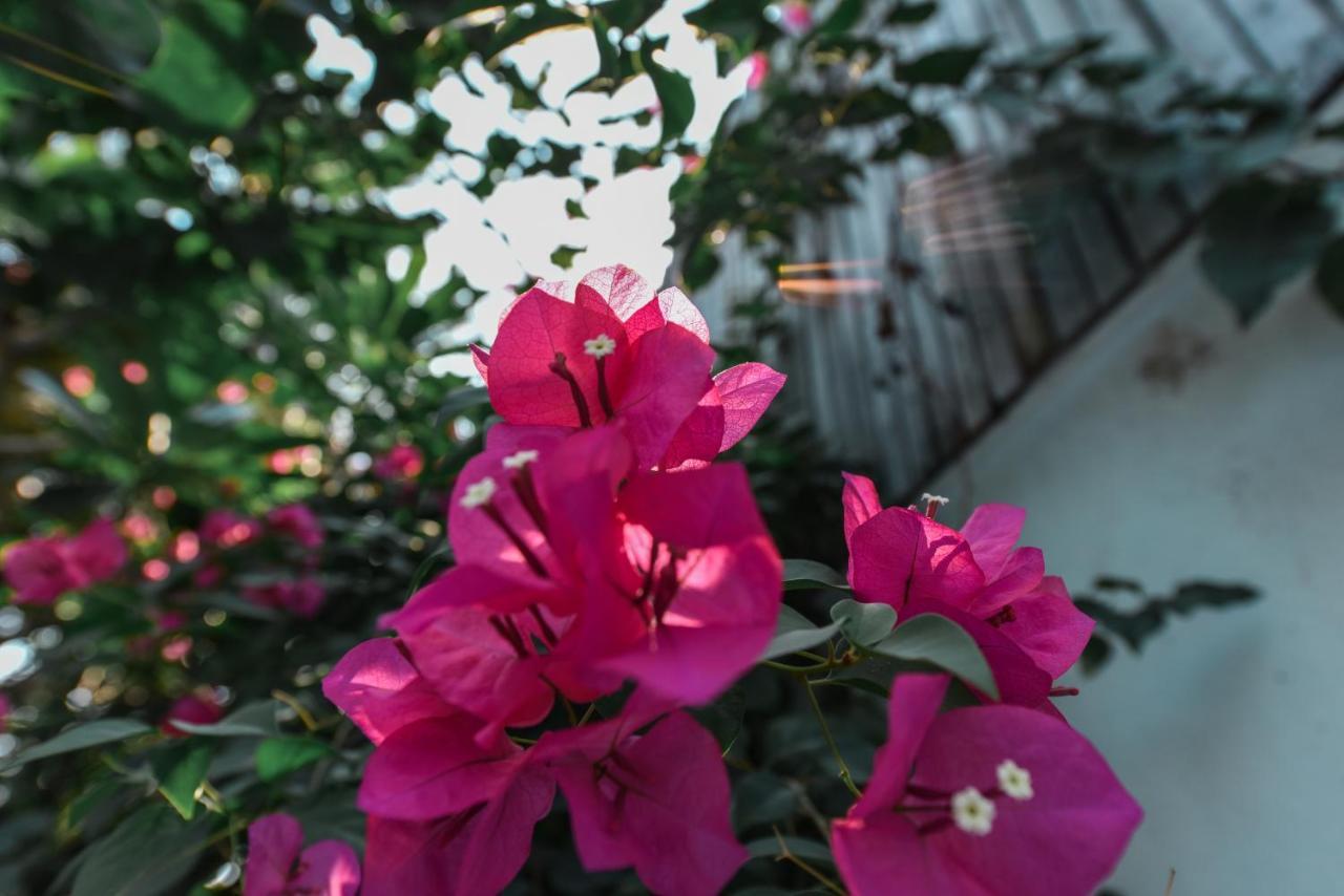 Oh Battambang Boutique Hotel Eksteriør billede
